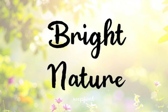 Bright Nature Typeface: A Designer’s Review