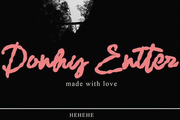 Donhy Entter: A Bold Script Font for Campaigns