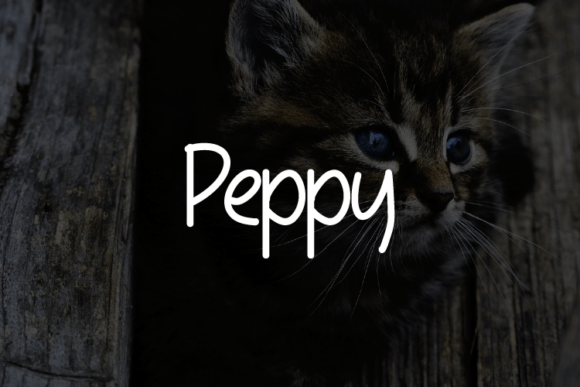 Peppy: A Modern Typeface for Branding