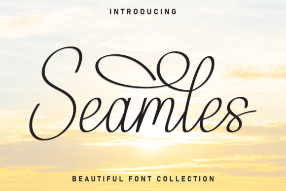 Seamles: A Real-World Designer Review