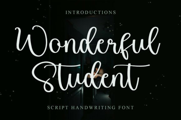 Wonderful Student: A Designer’s Practical Review